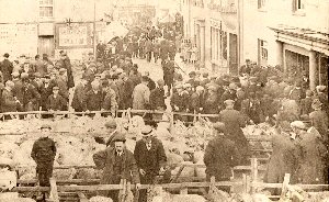 Fair - sheep sales 1890